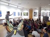 La Nucia Aud expo insectos cole 2015