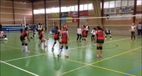 La Nucia voley Alev vs mig her feb 2016