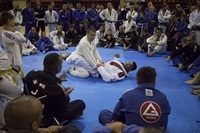 La Nucia BJJ Campus 1 2016