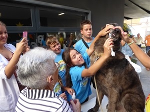 Entre los jóvenes y mayores ha surgido un vínculo con este programa de "Aprendiendo de Nuestros Mayores"