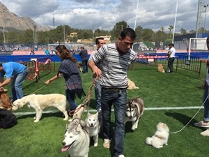 Todas las actividades se desarrollarán en el campo de fútbol 11 de césped artificial de la Ciutat Esportiva