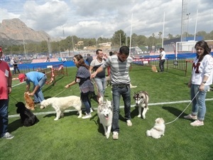 En este concurso se esperan más de 250 perros