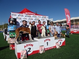 Entrega de premios de una de las categorías