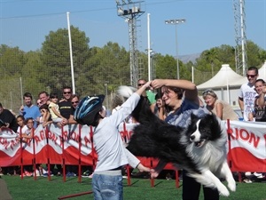 Habrá espectáculos de agility y disc dog