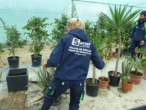 El Taller cuenta con dos especialidades formativas: jardinería y forestal