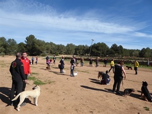 Sergio Villalba, concejal de Deportes, presenció algunos ejercicios de etología canina