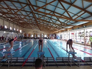 La Competición estuvo organizada por la Delegación de Alicante de la Federación de Natación de la Comunidad Valenciana y el Club Natación Piscina de La Nucía