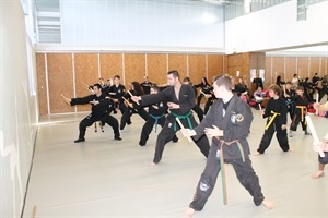 El Curso se desarrollará en las Salas Tatami del Pabellón Municipal Camilo Cano