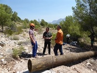 La Nucia Forestal P 4 junio 2017