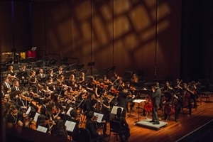 Foto de Nelly del Arbo. Concierto de anoche de la OJPA en la Kunstlinie Almere Flevoland -Auditorio de Almere-.