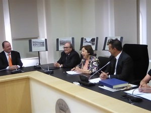 Carme Miquel durante su discurso en el pleno municipal extraordinario de esta mañana