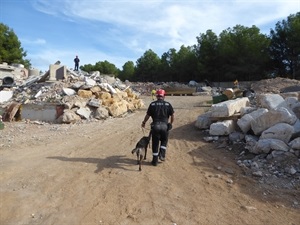 En solo 2 años el Campo de Entrenamiento de Perros de Rescate de La Nucía se ha convertido en un referente a nivel nacional