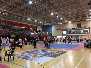 En la pista central del Pabellón se montaron diferentes tatamis para la competición