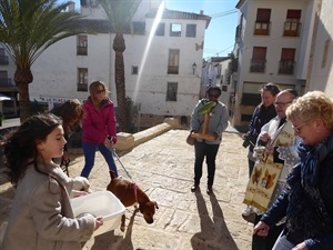 Todos los años se bendicen animales de todo tipo