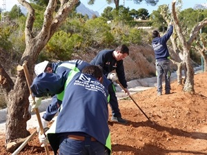 Esta actuación se realiza de forma conjunta entre el Taller de Empleo Pinar de Garaita IX y los Servicios Técnicos Municipales