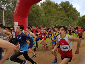 Salida del Cross Escolar Autonómico de Castellón