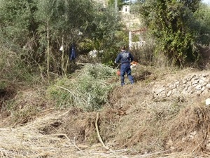 Limpieza de maleza y cañas en el Paretó de la Rompuda