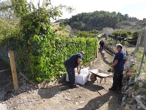 Camino de acceso al Paretó de la Rompuda, señalizado dentro de la Ruta BTT nº3