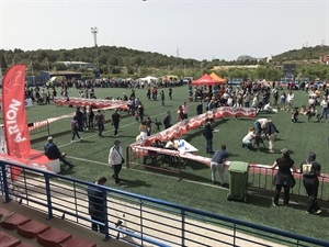 El VIII Concurso Nacional Canino se celebró en la Ciutat Esportiva Camilo Cano