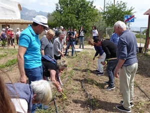 74 mayores de todo el municipio han participado en esta actividad