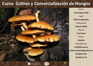 Cartel del Curso de Hongos de la UA en el CEM Captivador