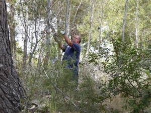 El Taller de Empleo lleva 2 meses limpiando barrancos por todo el término municipal