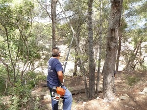 Los alumnos de Forestal del Taller de Empleo están realizando esta actuación