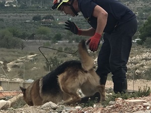 El Campo de Entrenamiento de Perros de Rescate de La Nucía simula una zona colapsada tras un terremoto