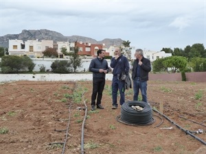 La parcela se ha vallado y las únicas personas que tendrán acceso a los Ecohertos del Copet serán los adjudicatarios de estas parcelas