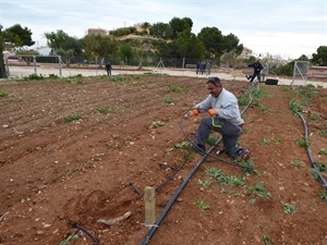 El usuario del Huerto Ecológico no tendrá que realizar ninguna inversión