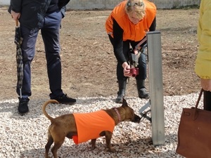 El parque contará con mobiliario urbano, exprendedor de bolsas y fuente especial para perros