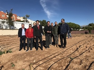 También se han encargado de la creación de 21 parcelas de huertos ecológicos