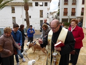 La bendición de animales será este sábado 18 de enero a las 12 horas