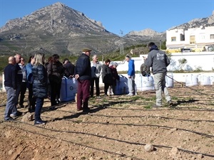 En la adjudicación de las parcelas se ha dado preferencia a las personas jubiladas y desempleadas