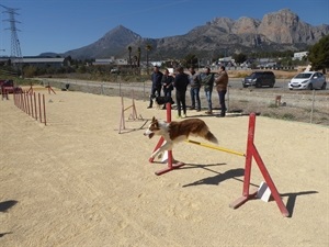 El Club Deportivo Agility ya tiene programadas tres actividades semanales