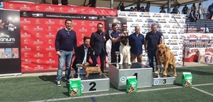 Salvador Serrano, pte. Sociedad Canina de Alicante, Juan Andrés Montiel, org. Concurso Canino y Bernabé Cano, alcalde de La Nucía en la entrega premios de la categoría "mejores perros de la comarca"