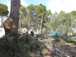 La actuación cuenta con una inversión municipal de 40.000 euros