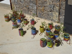 En el Taller de Reciclaje elaboraron un macetero a partir de una botella de plástico, donde plantaron una tomatera, que se llevaron a casa