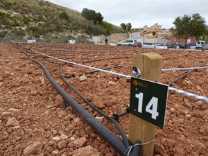 Ecohuertos de la Urbanización Montecasino