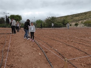 La cesión de las parcelas es por dos años prorrogables