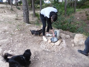 En el area recreativa canina hay diferente mobiliario urbano, una fuente para perros y un gran panel con las normas de utilización bilingüe