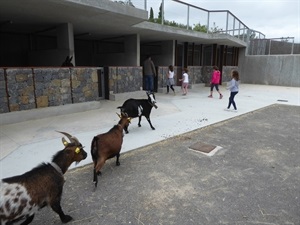 En les Festes de Sant Vicent la Granja Escuela del CEM organizó jornada de puertas abiertas