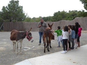 Los niños y niñas nucieros pudieron descubrir como cuidar a patos, conejos, gallinas, cabras y burros entre otros animales