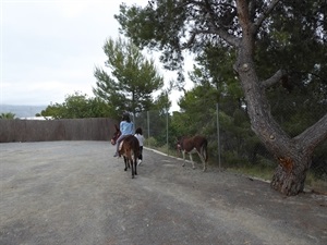 En esta actividad los pequeños pudieron interactuar con los animales