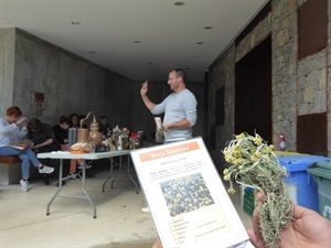 Los alumnos aprendieron a reconocer las principales plantas medicinales de esta zona