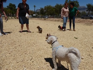 El objetivo es crear un espacio para poder soltar a los perros