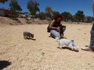 Los perros pueden correr y jugar sin molestar al resto de los vecinos de la zona