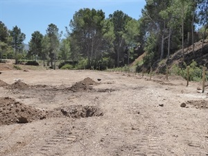 Las obras comenzaron a inicios de mayo y estarán terminadas a finales de este mes.