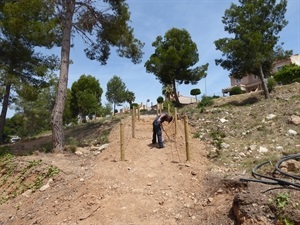 Se han habilitado cuatro entradas peatonales a esta zona desde el carrer Sorell