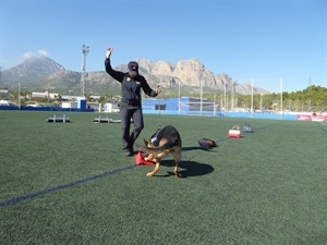 La Ciutat Esportiva acogió esta exhibición de Unidades Caninas Policiales